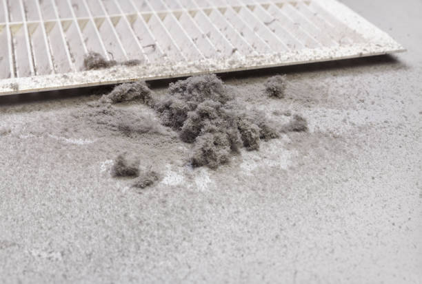 Best Affordable Duct Cleaning Services  in Bally, PA