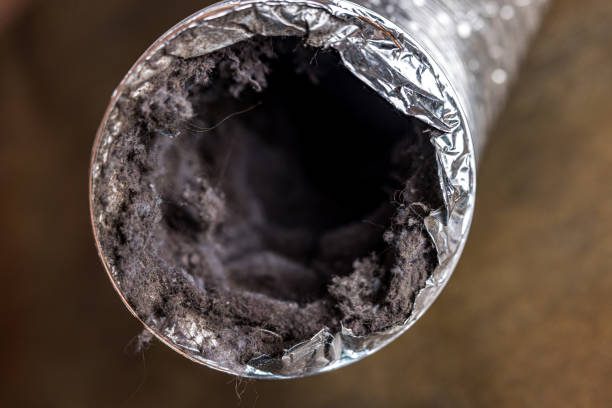 Best Residential Air Duct Cleaning  in Bally, PA