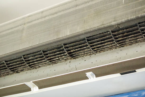 Best Air Duct Cleaning Near Me  in Bally, PA